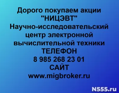 Покупаем акции НИЦЭВТ