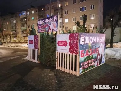 Живые новогодние ели в Серпухове, Чехове, Протвино фото